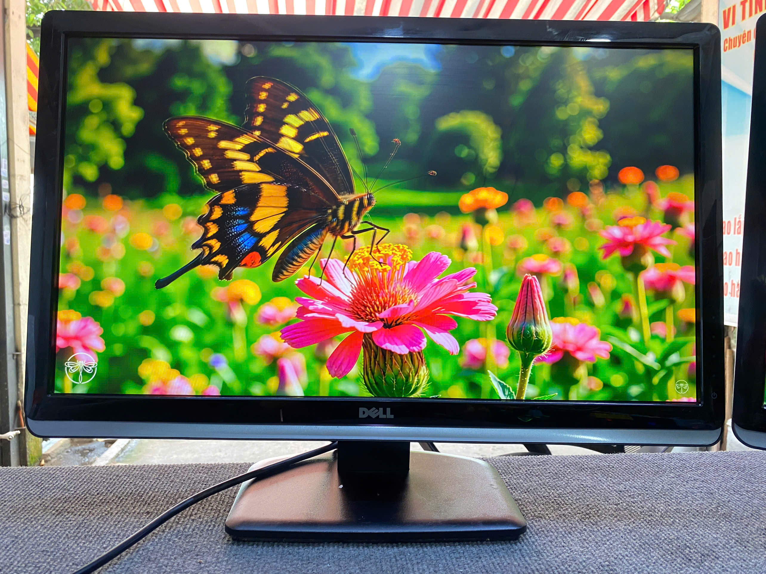  Màn Hình Dell P2414H, 24 inch Full HD đẹp rực rỡ